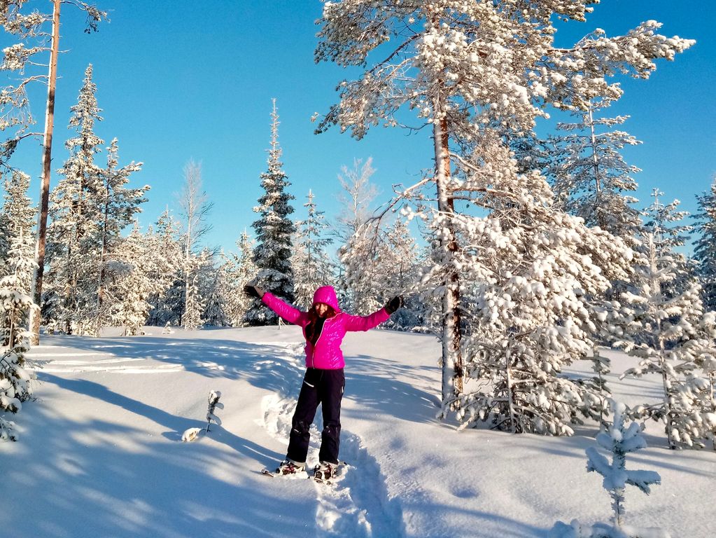 Finse natuur sneeuwschoenwandeling excursie